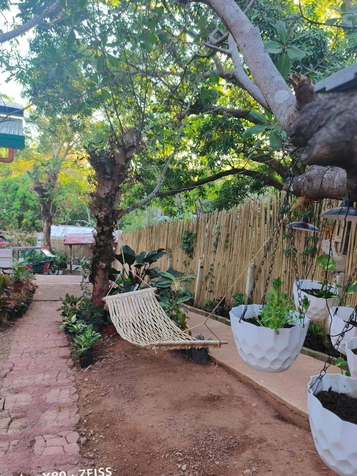 Ani Marie Guest House Coron Bagian luar foto